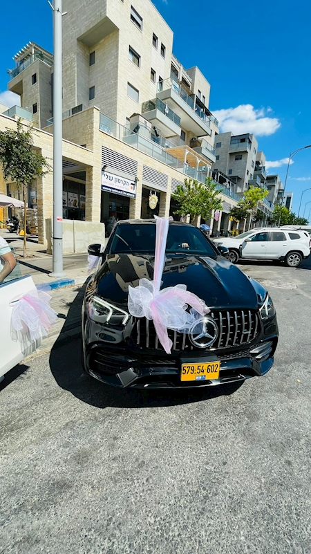 קישוט רכב יוקרתי 3