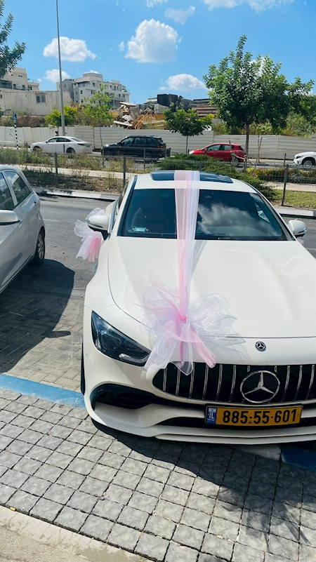 קישוט רכב יוקרתי 1