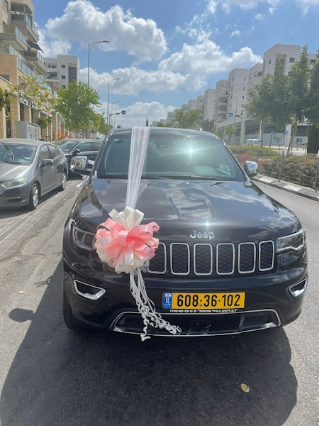 קישוט רכב יוקרתי 2