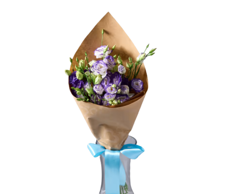 באנץ' ליזי סגול לבן