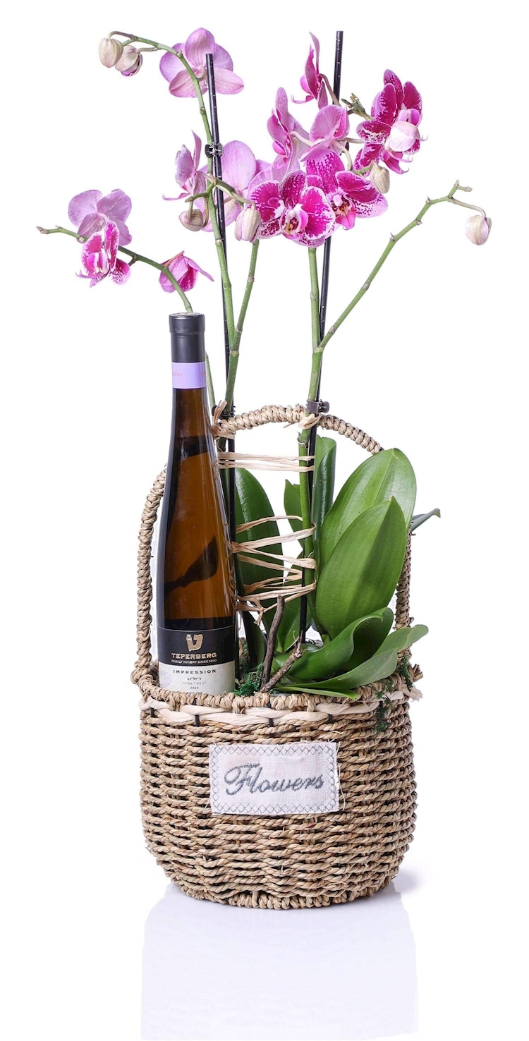 מארז סחלבים ויין