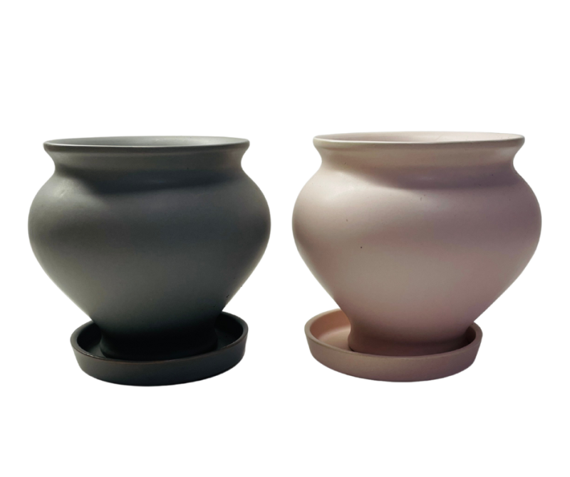 כלי אלדין (Aladdin) לעציץ 12 ס"מ