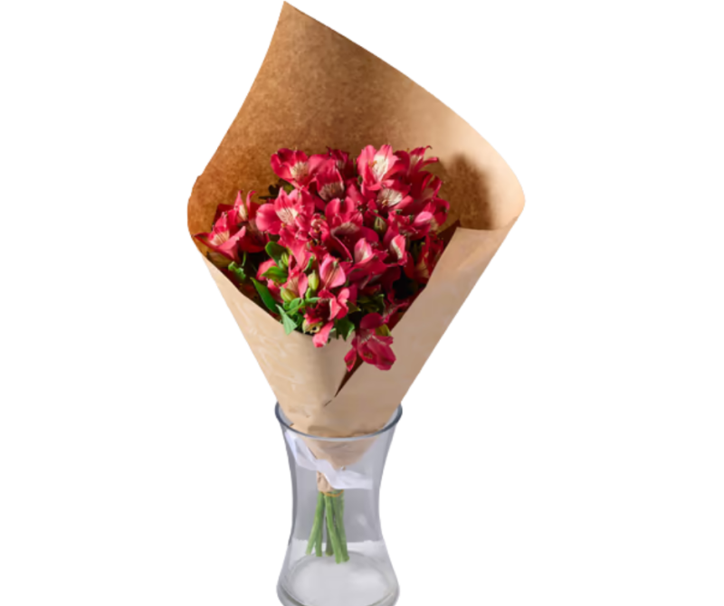 באנץ' אלסטורמריה