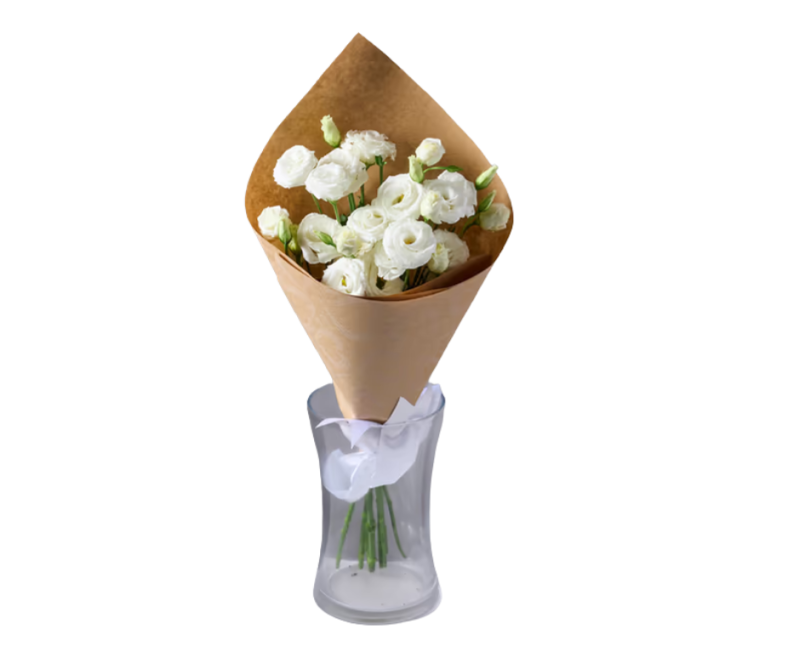 באנץ ליזאנטוס לבן