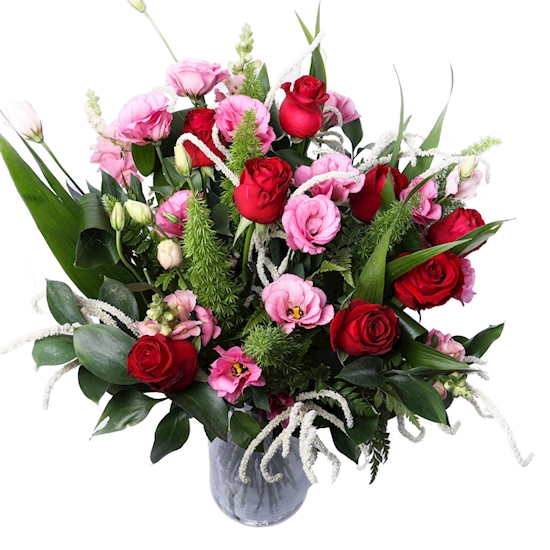 זר הורד בגני