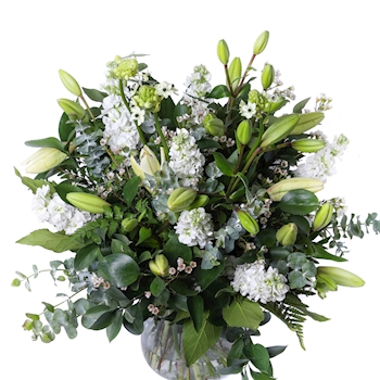 זר לבן מלכותי