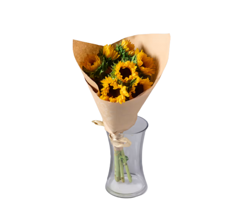 באנץ' חמניות טריות