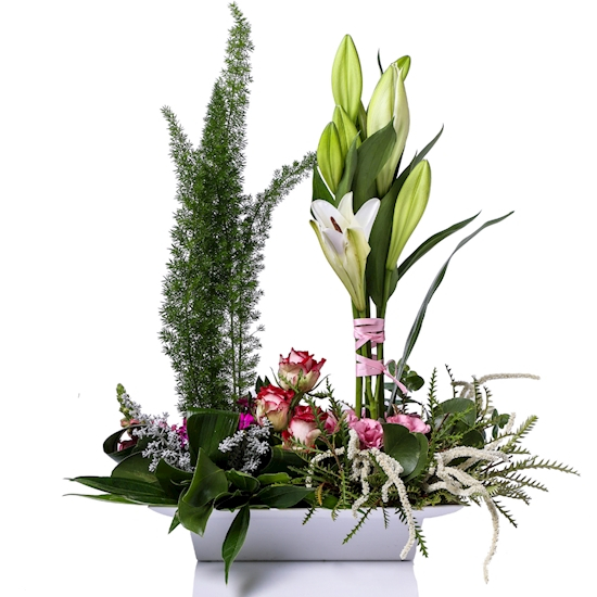 סידור סלבדור