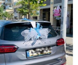 קישוט רכב מוניקה