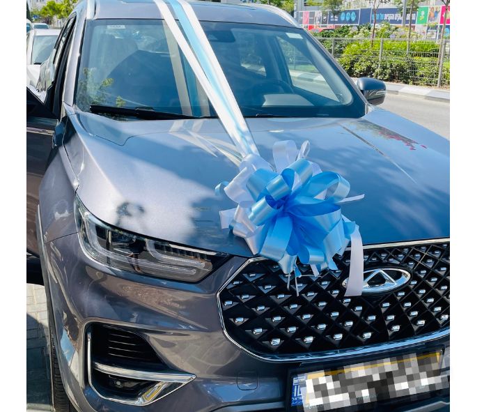 קישוט רכב מוניקה