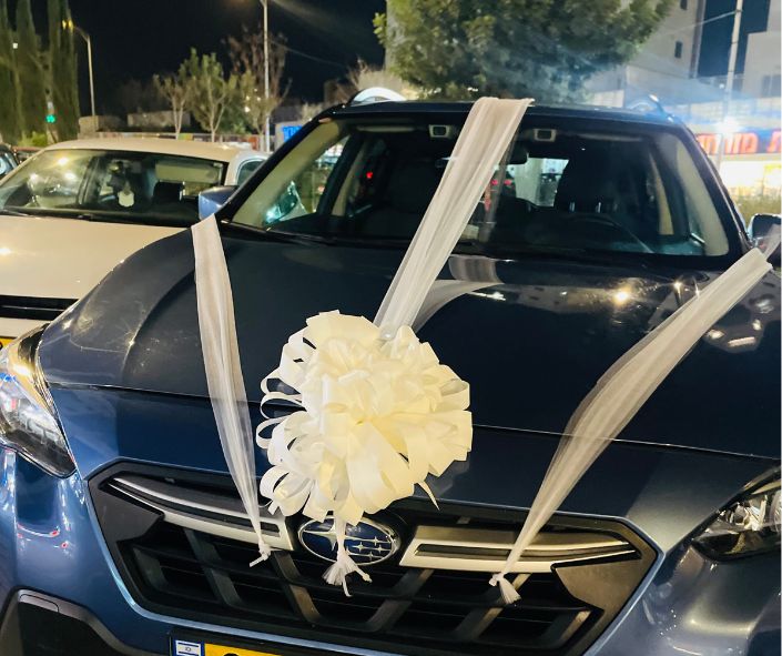 קישוט רכב קארין