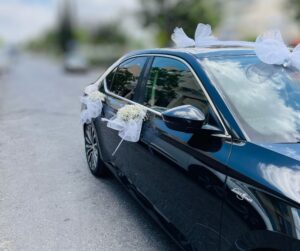 קישוט רכב פרינסס