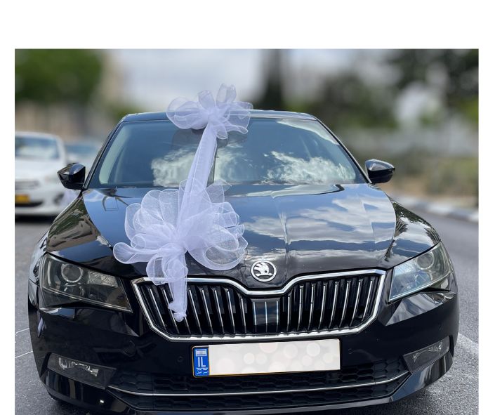 קישוט רכב פרינסס