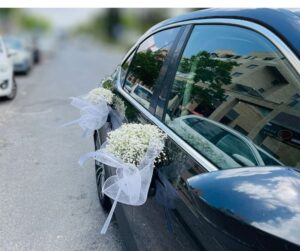 קישוט רכב פרינסס