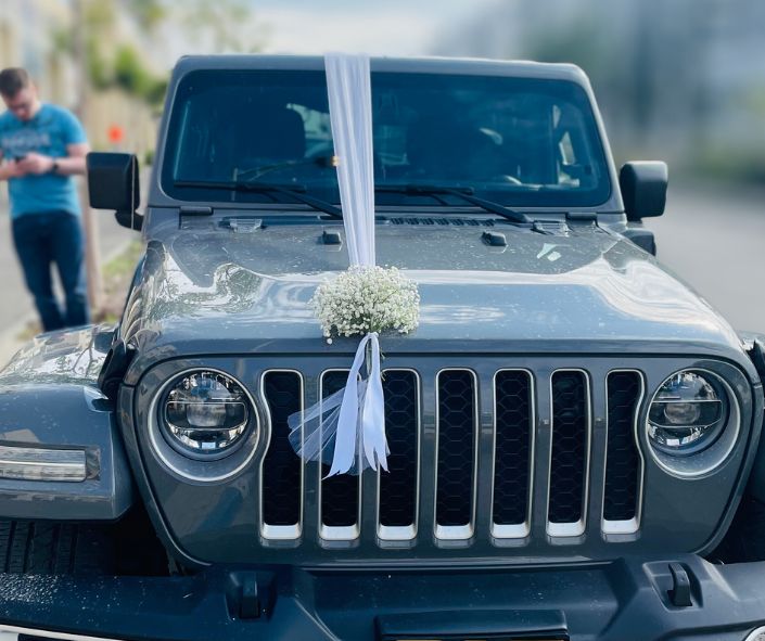 קישוט רכב מסי