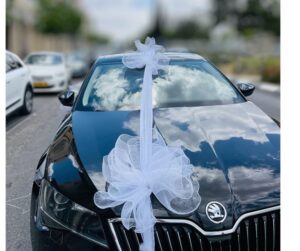 קישוט רכב פרינסס