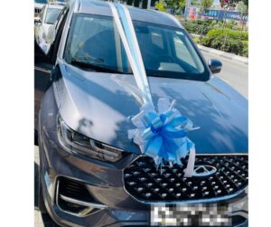 קישוט רכב מוניקה