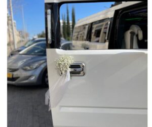 קישוט רכב דלוקס