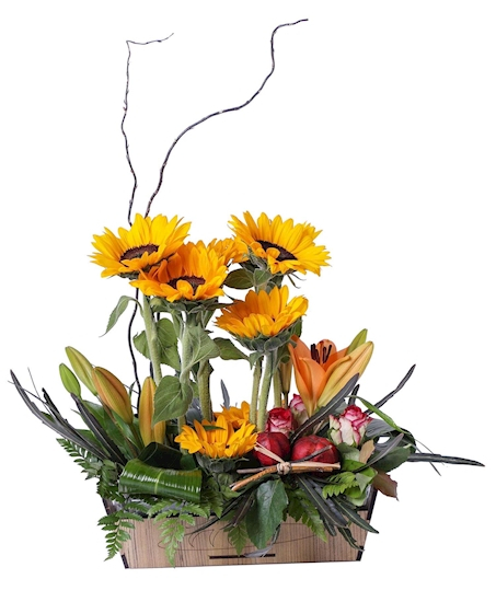 סידור פרחים השמש העולה