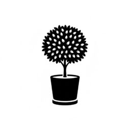 עציצים פורחים