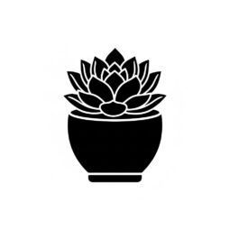 עציצים לבית